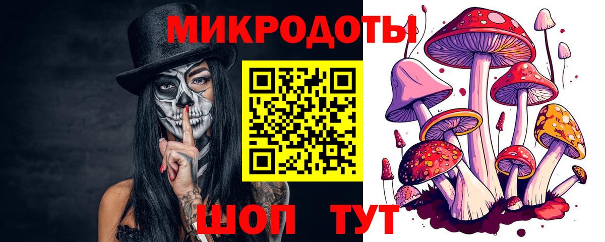 Галлюциногенные грибы мухоморы Сунжа