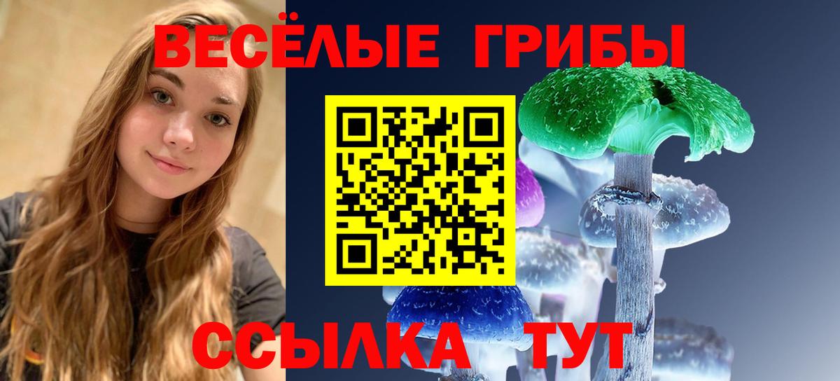 Сунжа  Галлюциногенные грибы MAGIC MUSHROOMS  Галлюциногенные грибы Psilocybe  Вход с VPN 